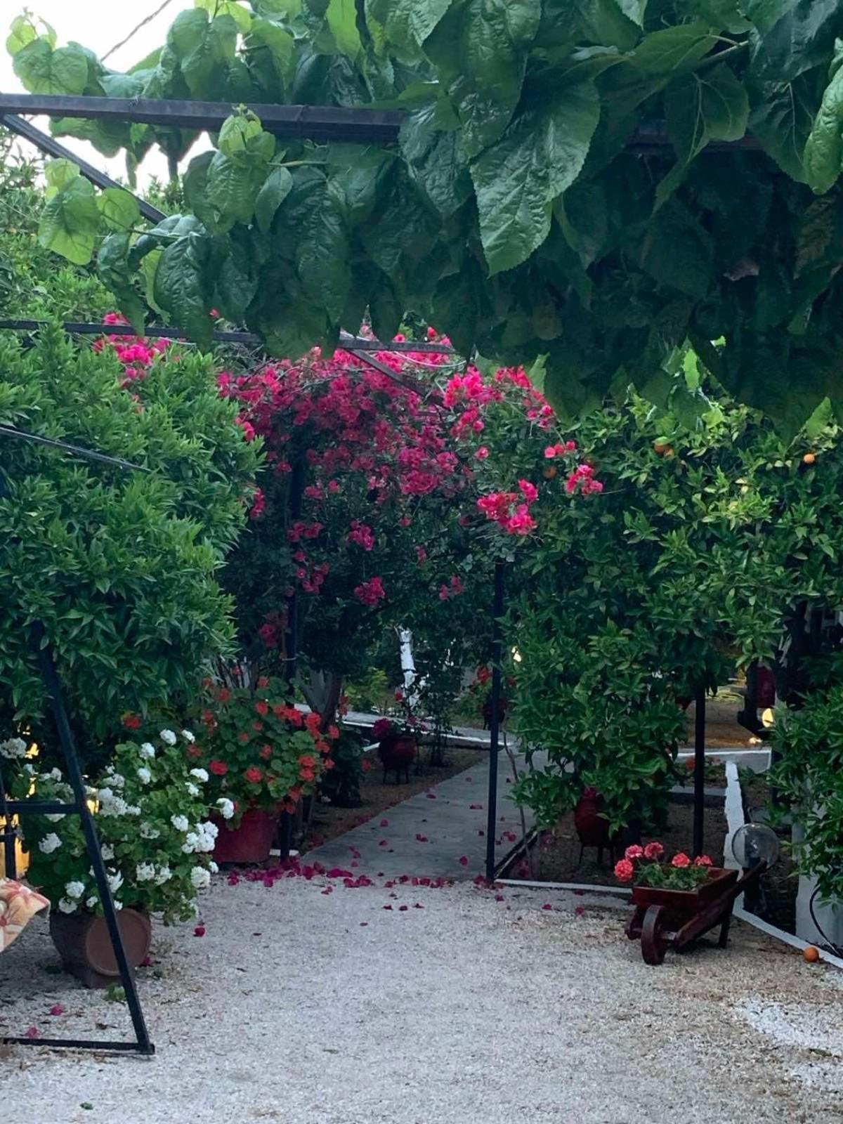 טולון Cottonclub Villas מראה חיצוני תמונה