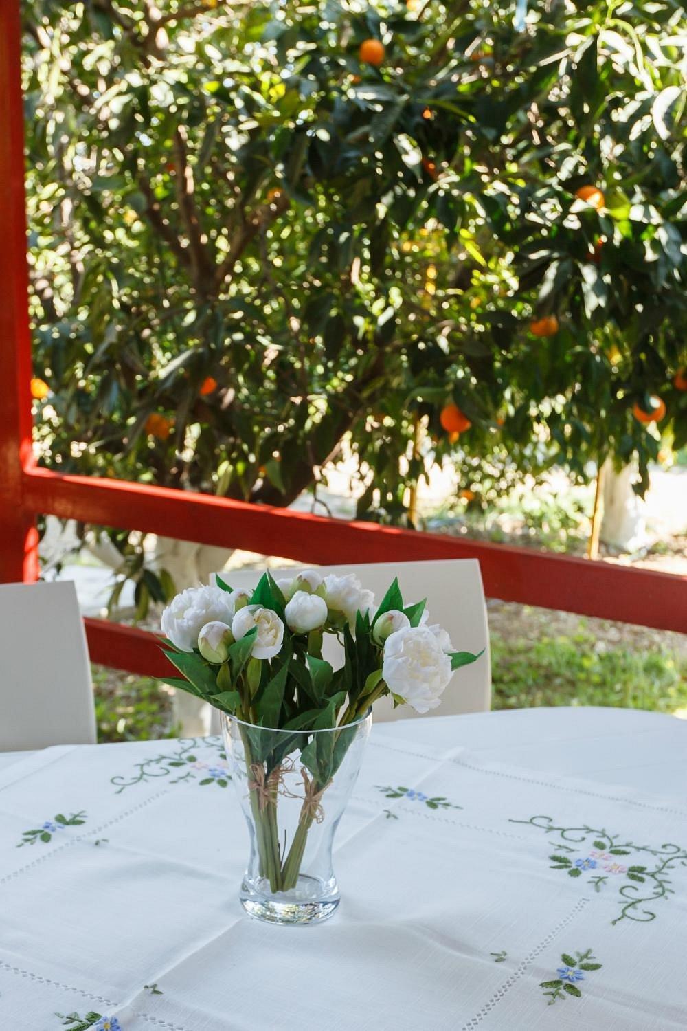 טולון Cottonclub Villas מראה חיצוני תמונה