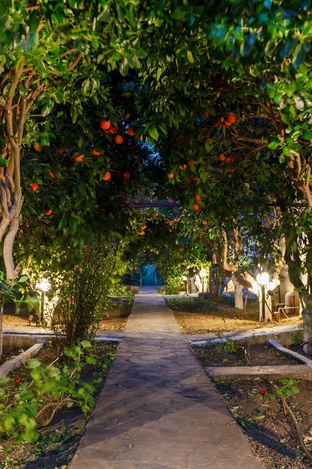 טולון Cottonclub Villas מראה חיצוני תמונה