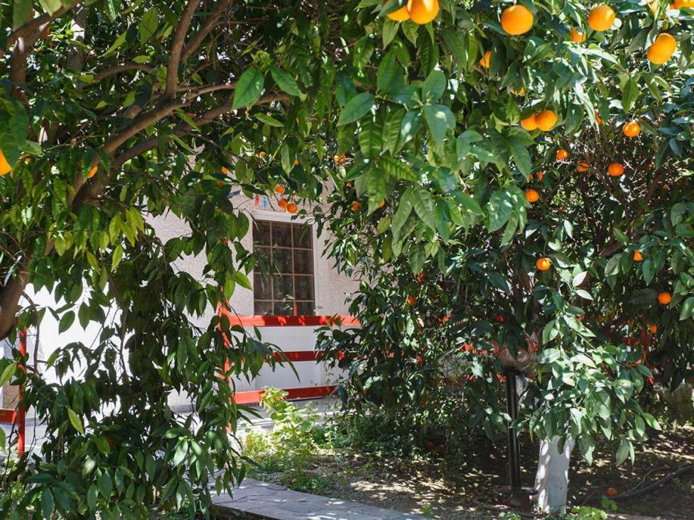 טולון Cottonclub Villas מראה חיצוני תמונה