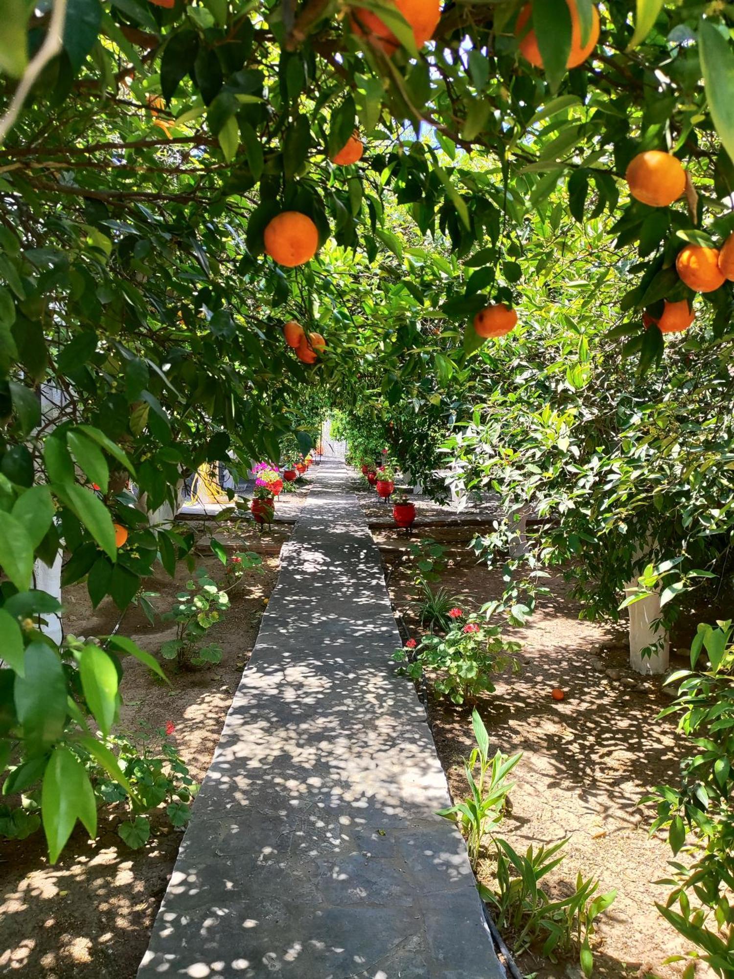 טולון Cottonclub Villas מראה חיצוני תמונה