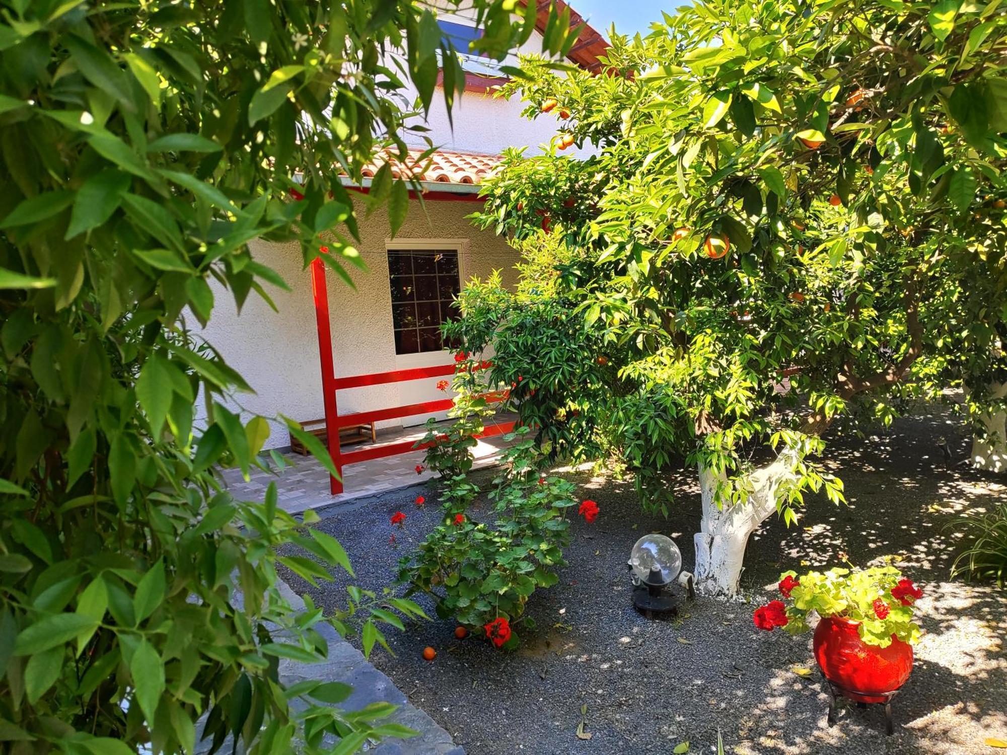 טולון Cottonclub Villas מראה חיצוני תמונה
