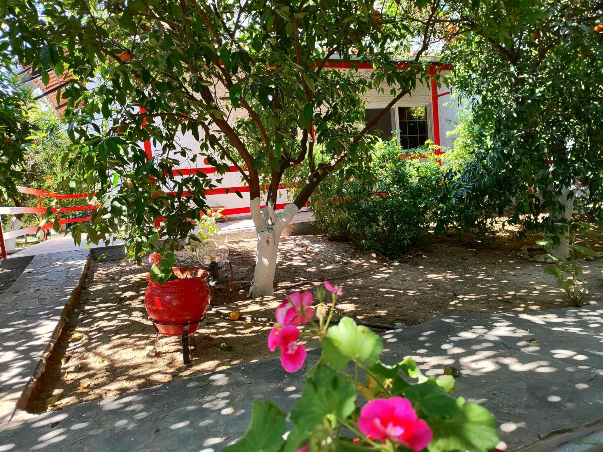 טולון Cottonclub Villas מראה חיצוני תמונה