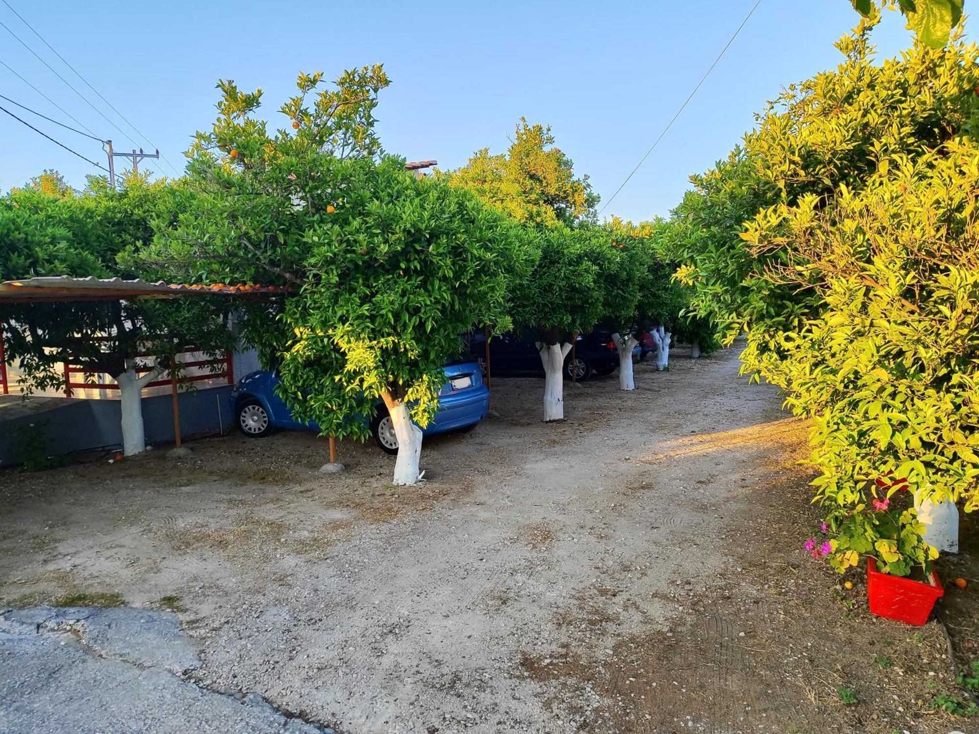 טולון Cottonclub Villas מראה חיצוני תמונה