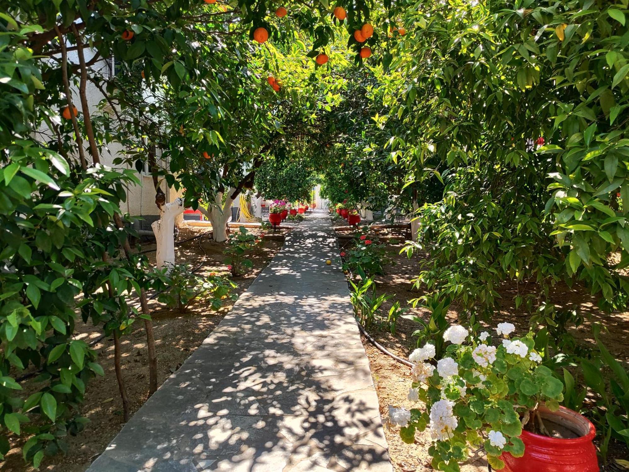 טולון Cottonclub Villas מראה חיצוני תמונה