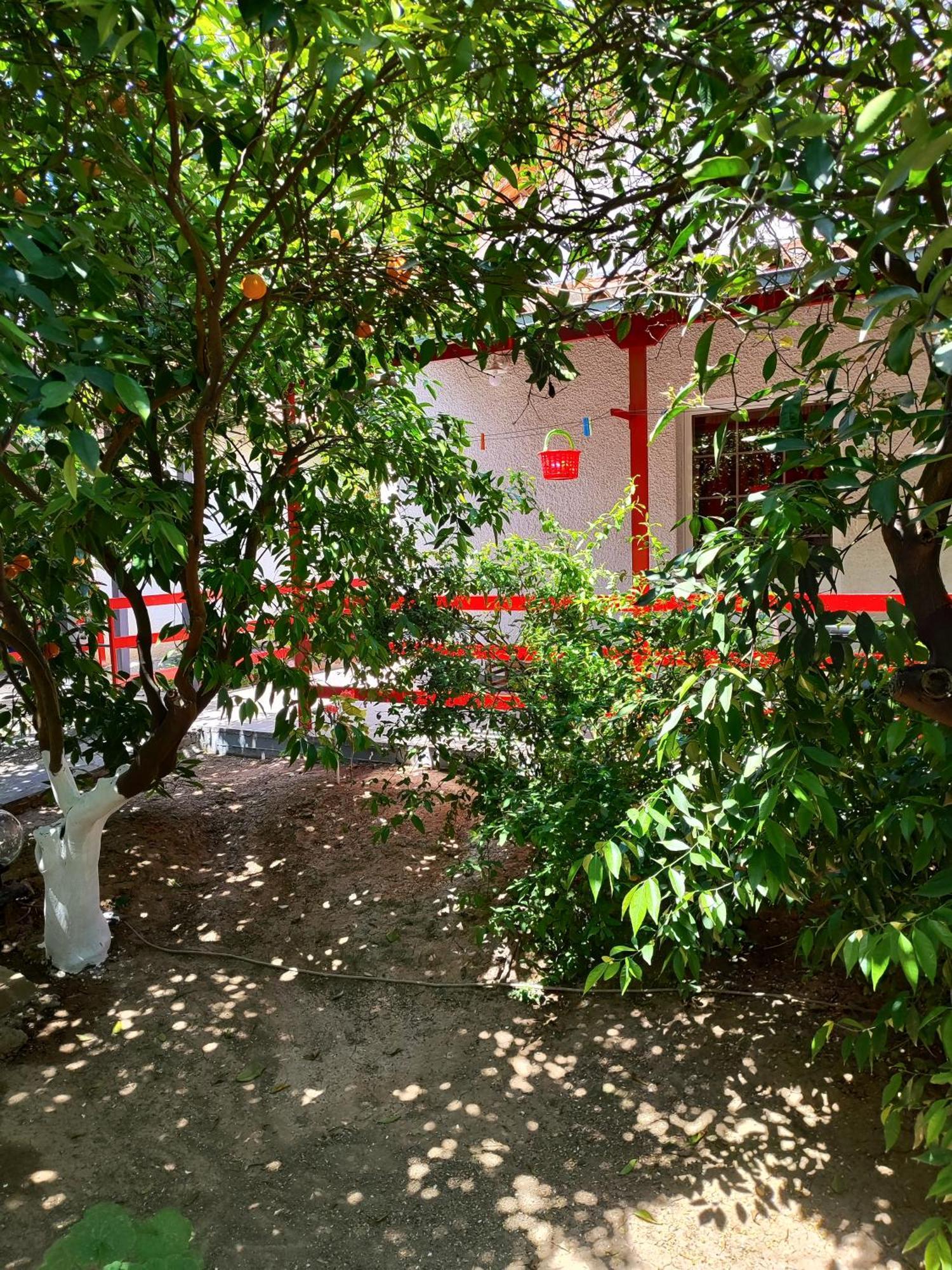 טולון Cottonclub Villas מראה חיצוני תמונה