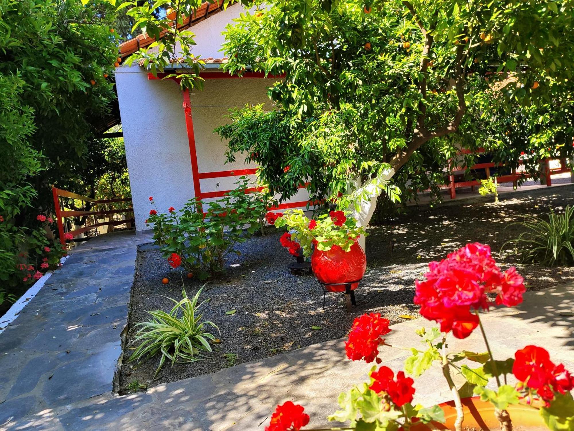 טולון Cottonclub Villas מראה חיצוני תמונה
