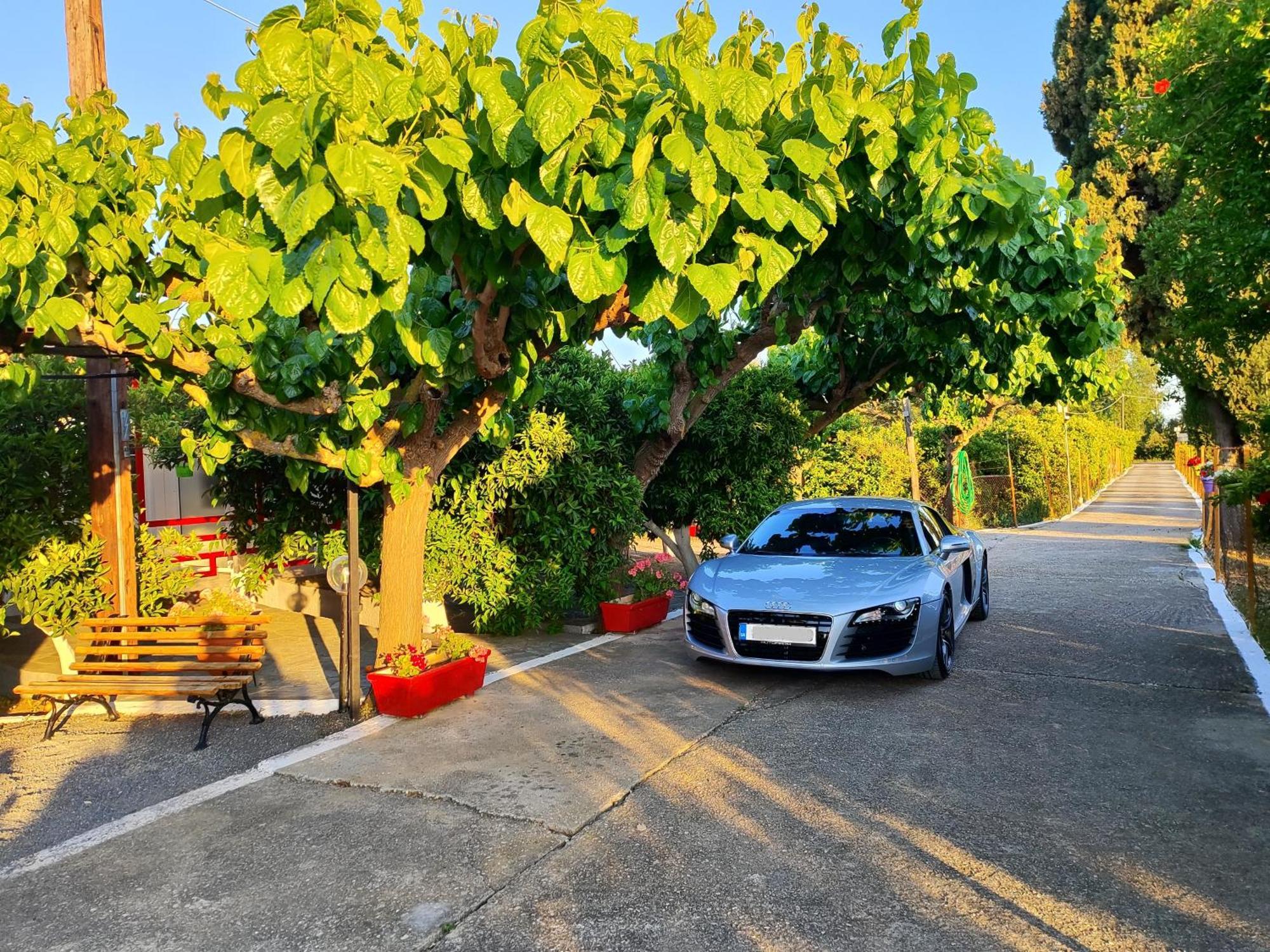 טולון Cottonclub Villas מראה חיצוני תמונה
