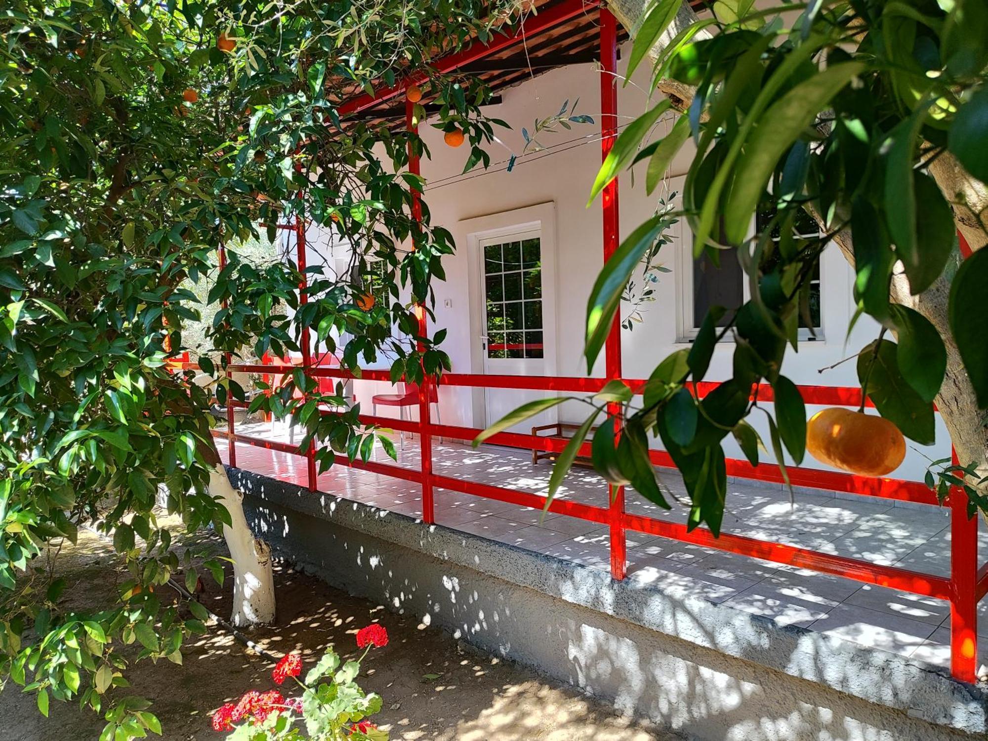 טולון Cottonclub Villas מראה חיצוני תמונה